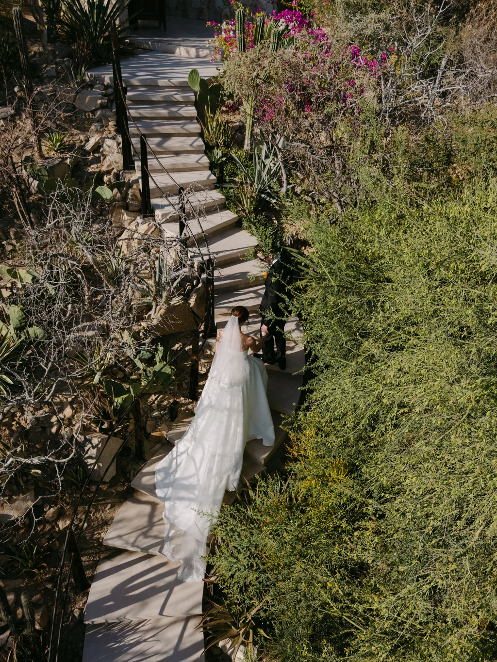 Lauren and Tevyn on the stone stairway through the garden, with bougainvillea