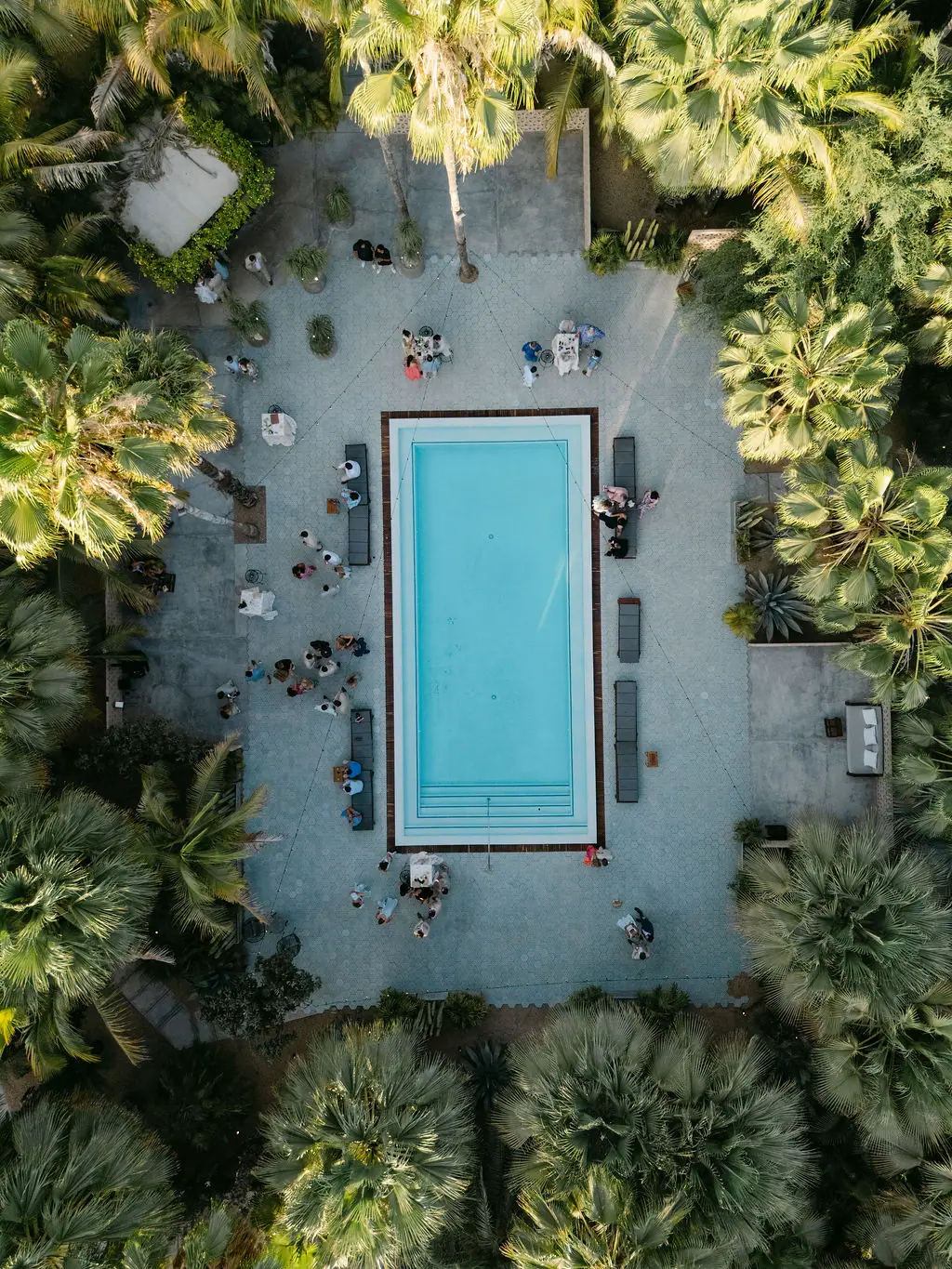 Lindsay & Trevor wedding at Acre, San José del Cabo